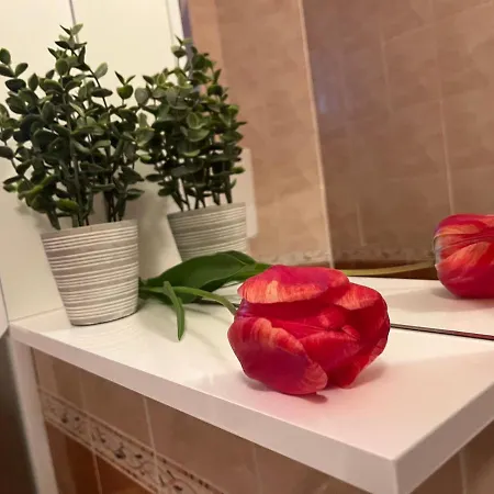 Lala Apartment Sombor